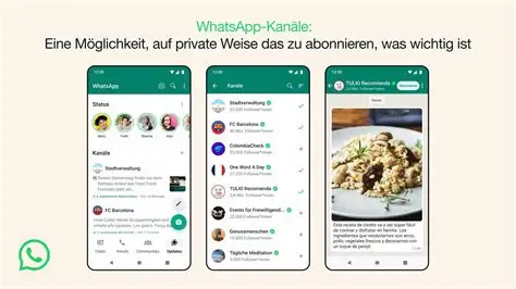 WhatsApp官网下载防坑手册：认准这几点避开山寨陷阱